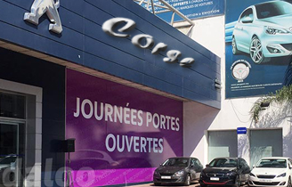 Porte ouvertes en Corse: une animation La Souris Verte corsica